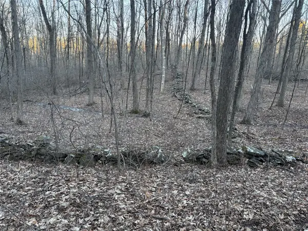 Barkit Kennel Rd, Pleasant Valley, NY 12569