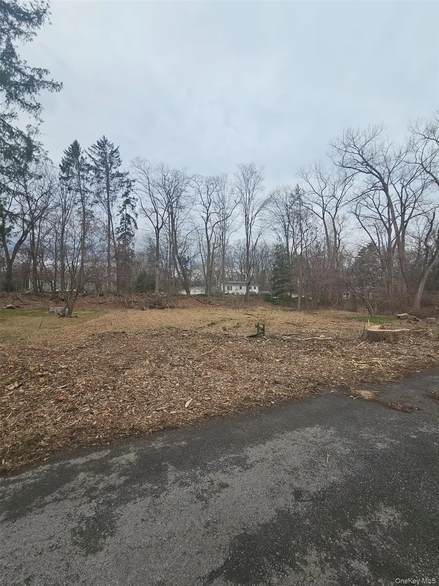 Garden Street, Hyde Park, NY 12538 - #2