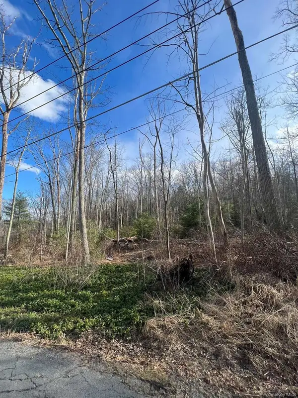 0 Laurel Trail, Wurtsboro, NY 12790