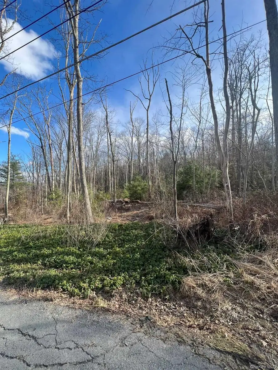 0 Laurel Trail, Wurtsboro, NY 12790 - #2