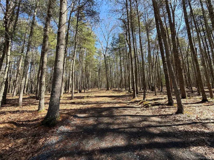 Upper Lumber Road, Glen Spey, NY 12737 - #3