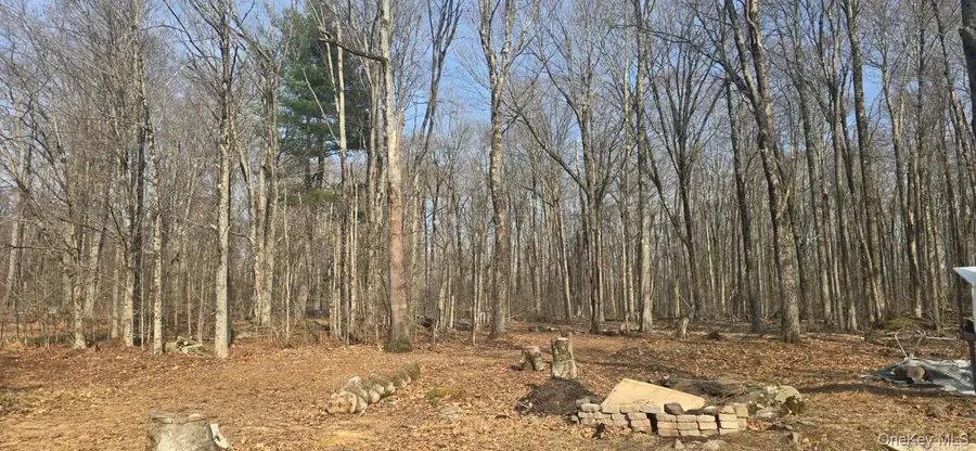 8 Starlight Drive, Monticello, NY 12701 - #2