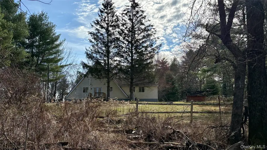 107 Pinewood Road, Cochecton, NY 12726 - #2