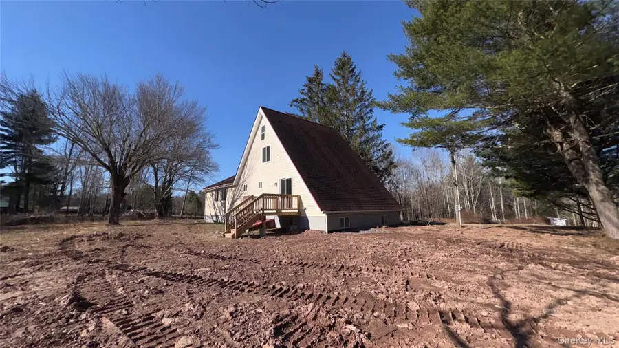 107 Pinewood Road, Cochecton, NY 12726 - #3