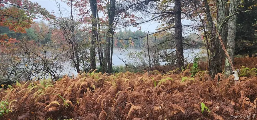 Mongaup Road, Monticello, NY 12701 - #2