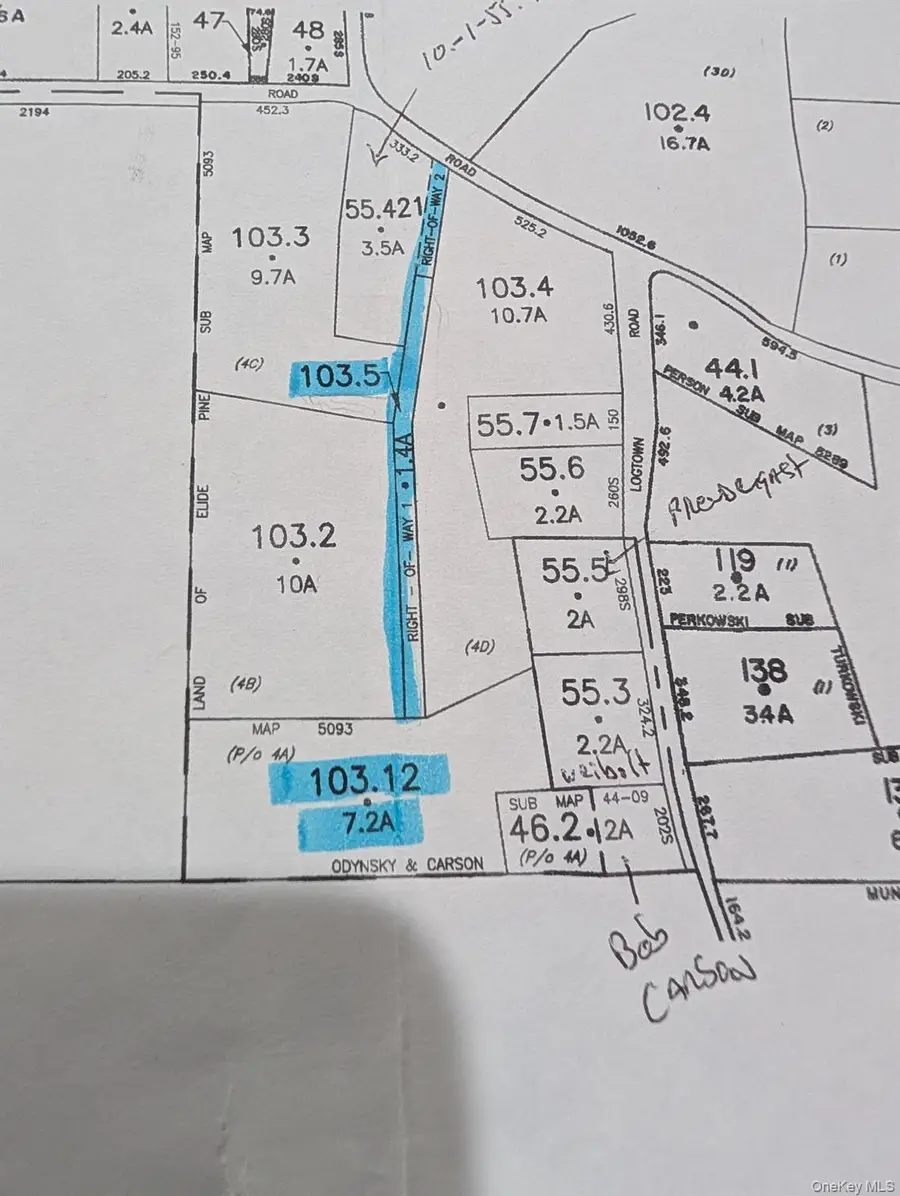 Logtown (black Bear Ridge) Road, Greenville, NY 12771 - #2