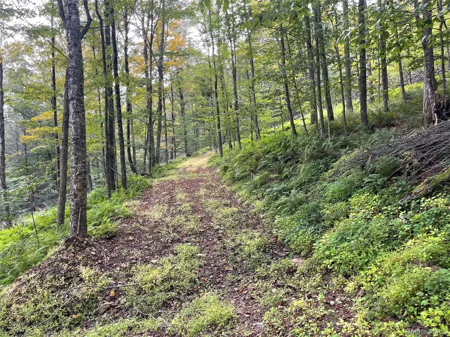 Carcass Brook Spur, Hancock, NY 13783 - #2