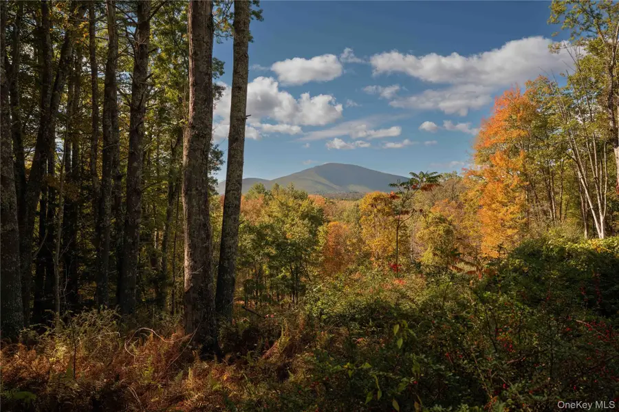 363 Beaverkill Road, Olivebridge, NY 12461 - #2