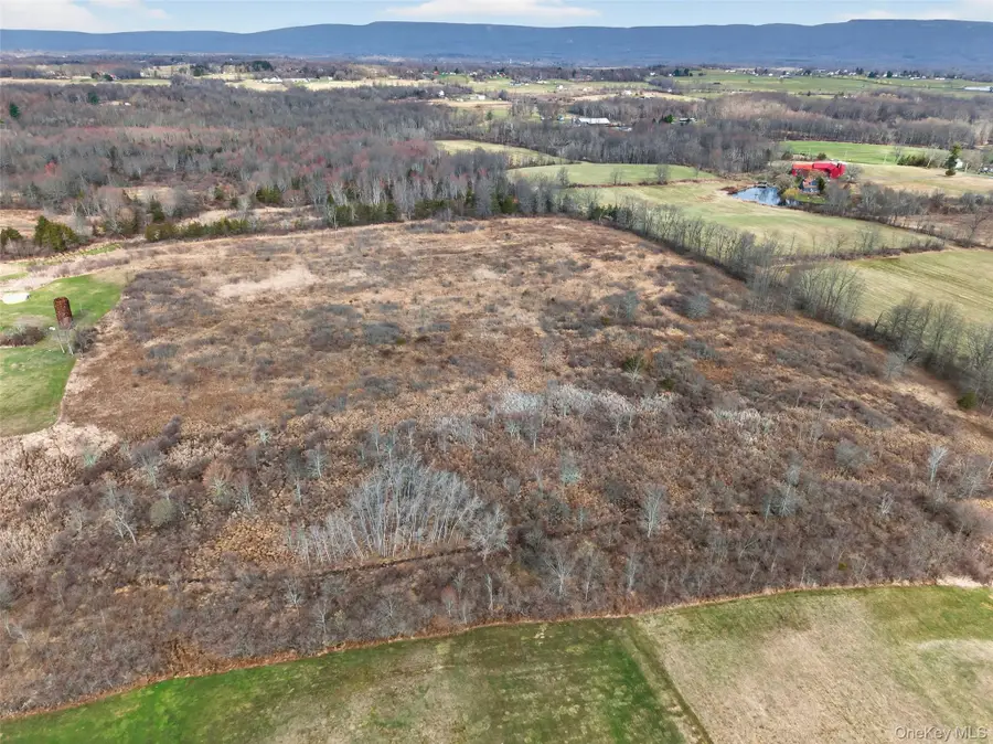 42 Wildrick Road, Wallkill, NY 12589 - #3