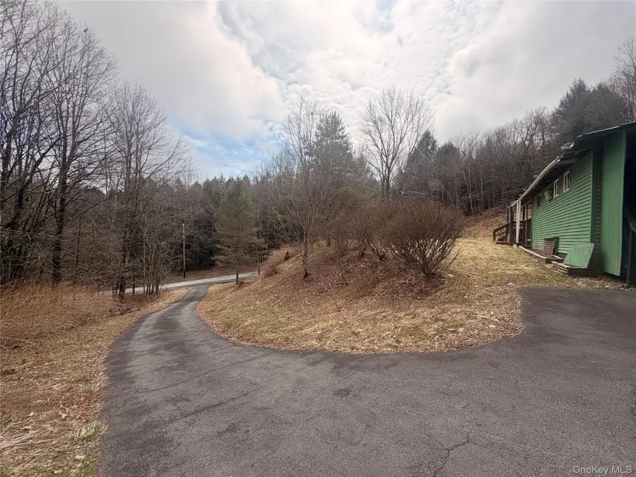 461 Back Shandelee Road, Livingston Manor, NY 12758 - #2