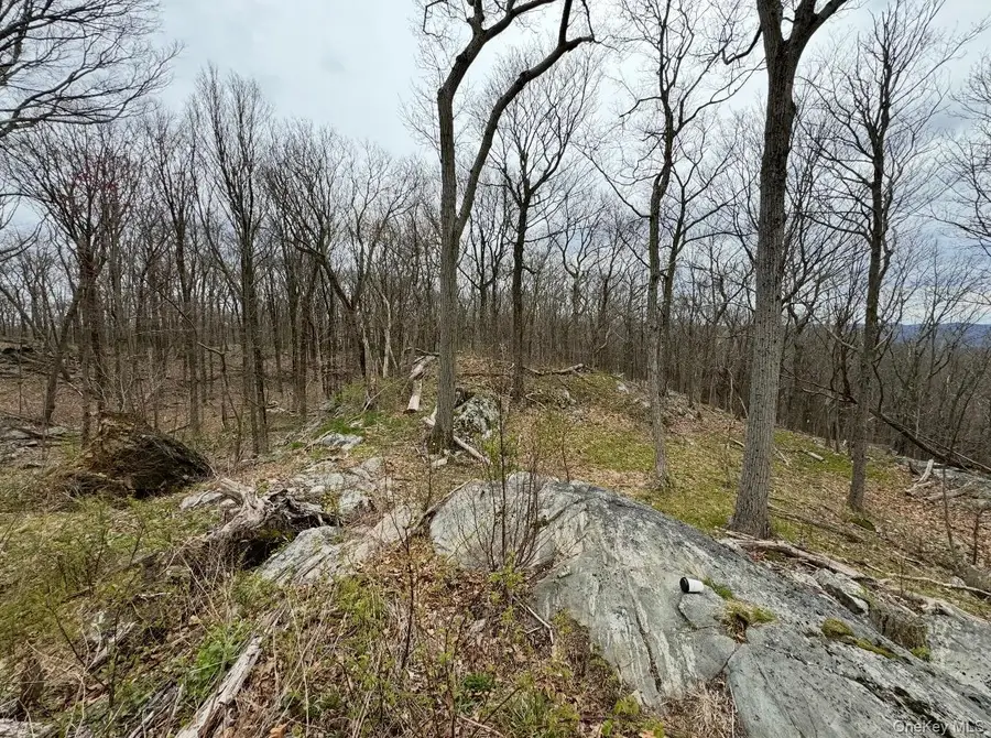 Woodmont Road, Hopewell Junction, NY 12533 - #2