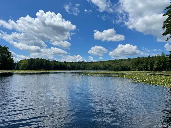 Address Withheld By Seller, Eldred, NY 12732