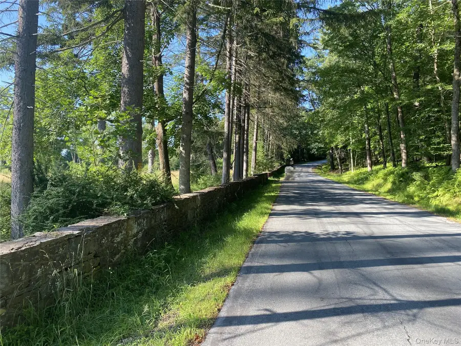 Address Withheld By Seller, Eldred, NY 12732 - #2