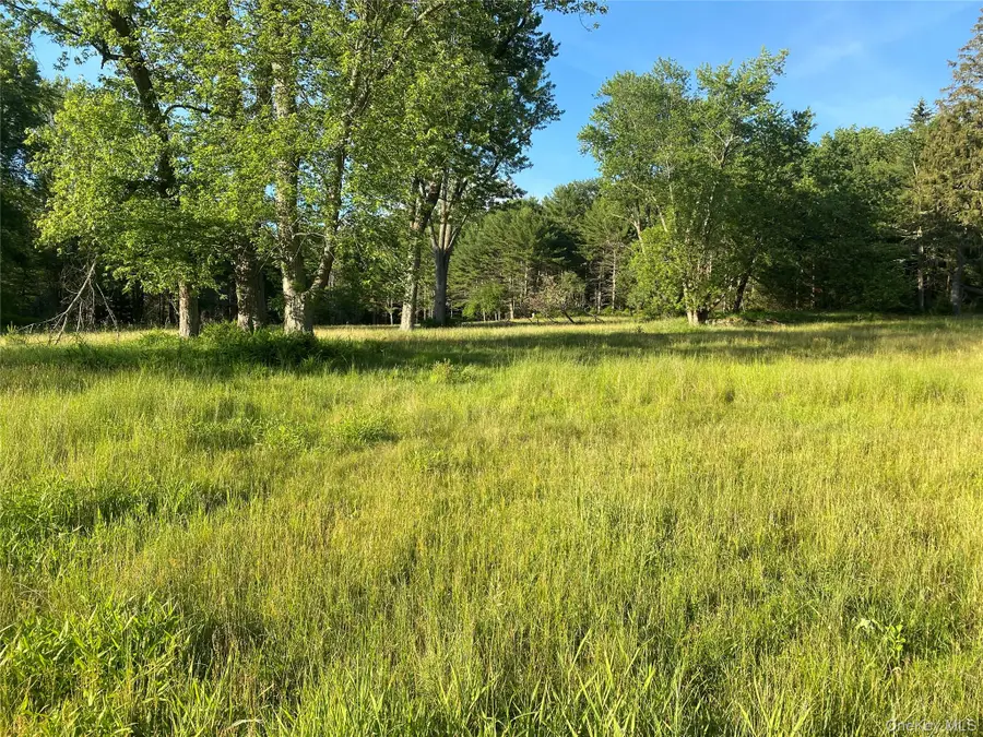 Address Withheld By Seller, Eldred, NY 12732 - #3