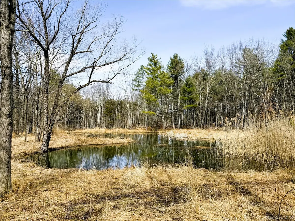 TBD Frank Hitchcock Road, Cairo, NY 12413 - #1