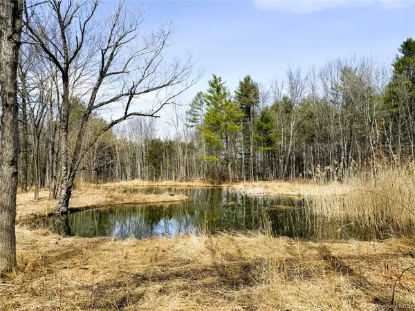 TBD Frank Hitchcock Road, Cairo, NY 12413