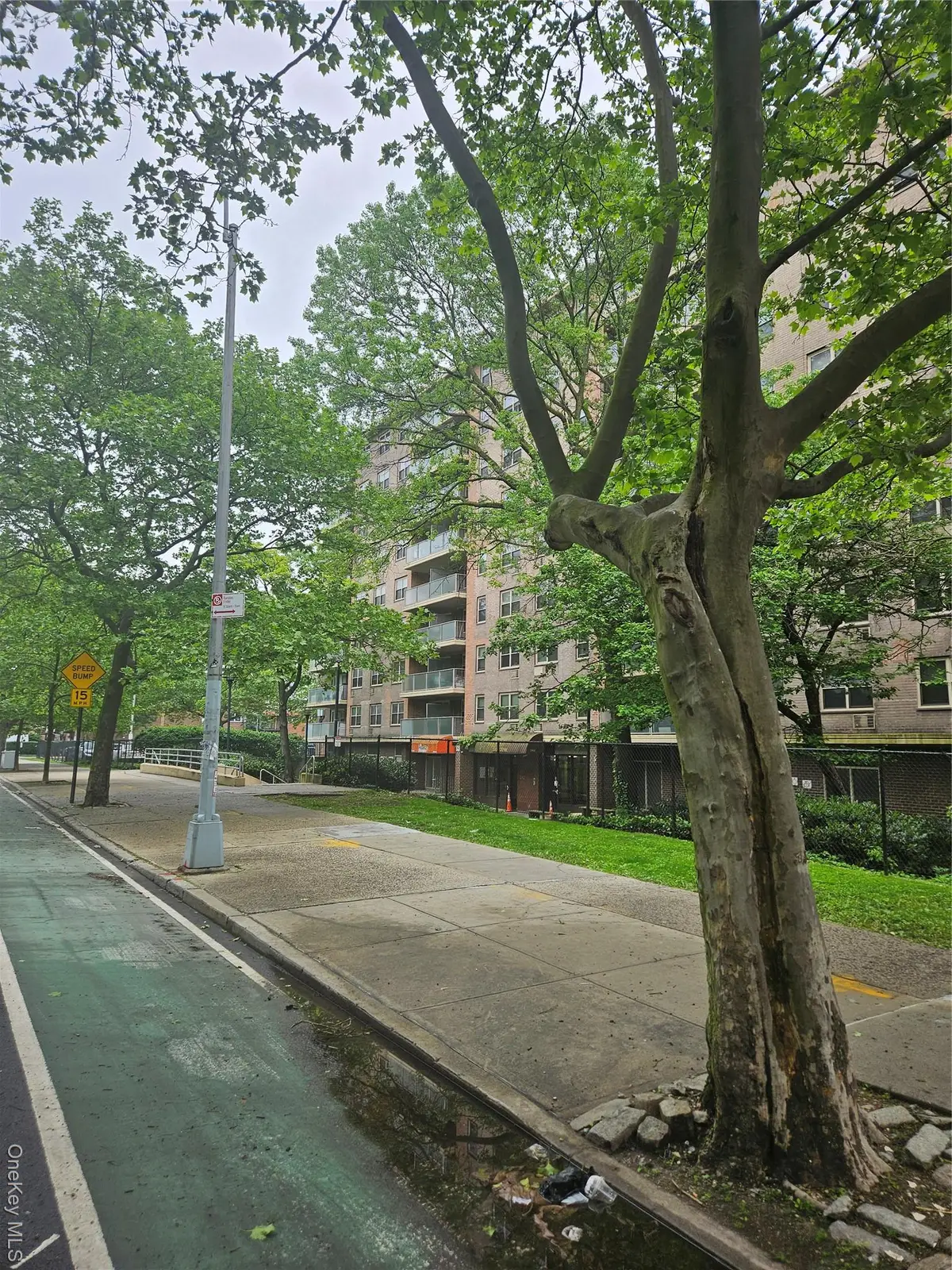 240 Cozine Avenue #5B, Brooklyn, NY 11207 - #1