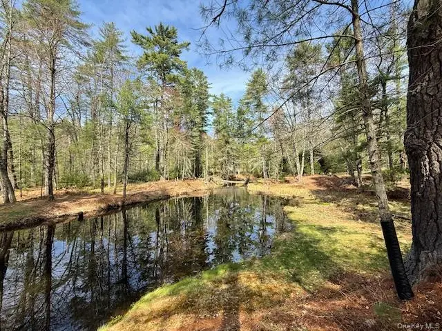 20 Reber Road, Eldred, NY 12732 - #2