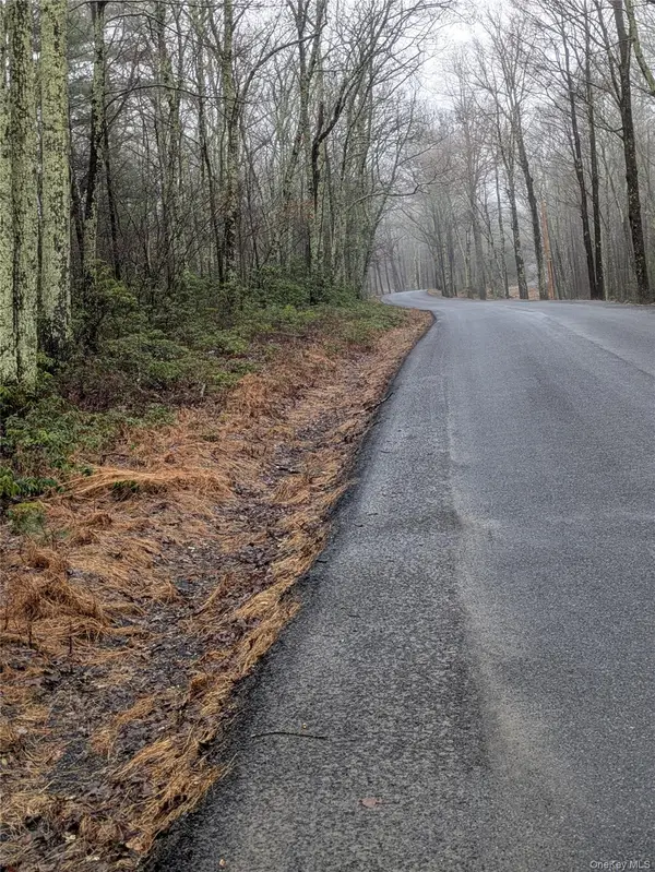 97 Otens Road, Wawarsing, NY 12489