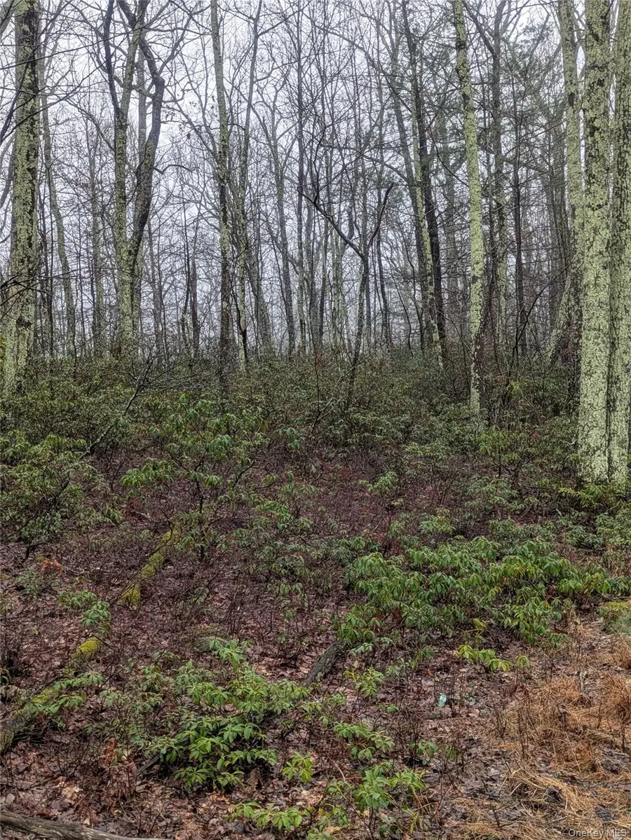 97 Otens Road, Wawarsing, NY 12489 - #3