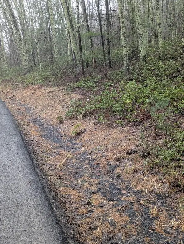 99 Otens Road, Wawarsing, NY 12489