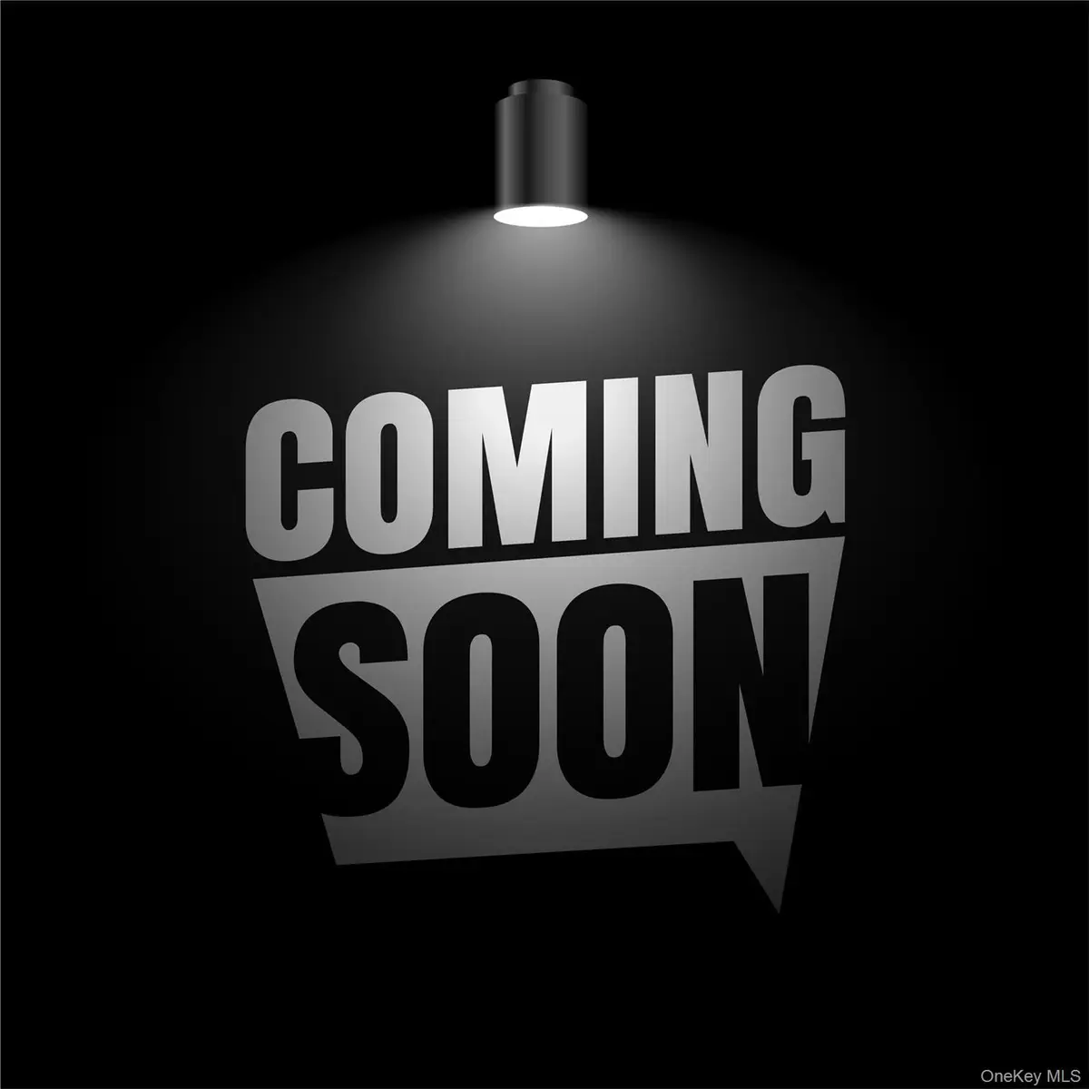 108 Hempstead Avenue, Lynbrook, NY 11563 - #1