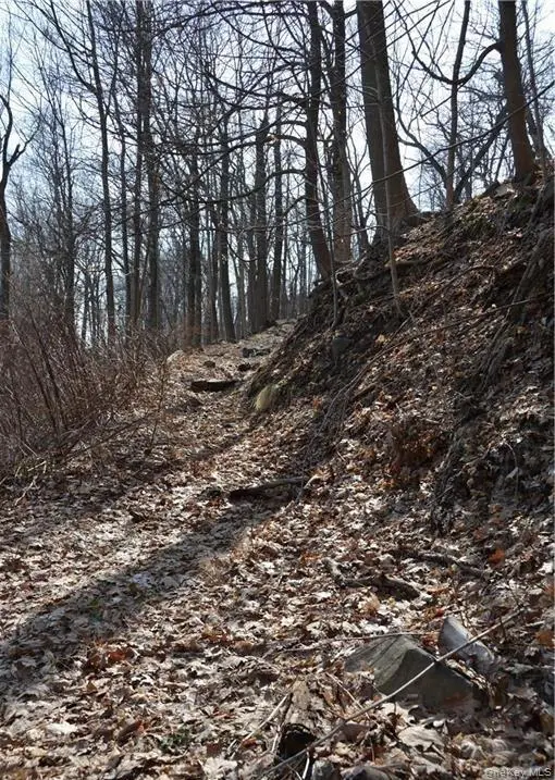 242 Tweed Boulevard, Nyack, NY 10960 - #3