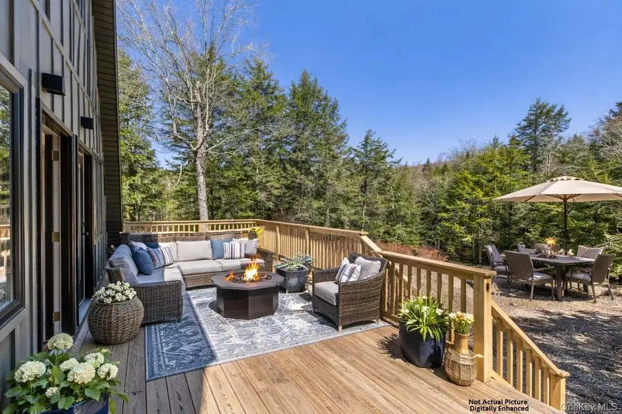 343 Dahlia Road, Livingston Manor, NY 12758 - #3