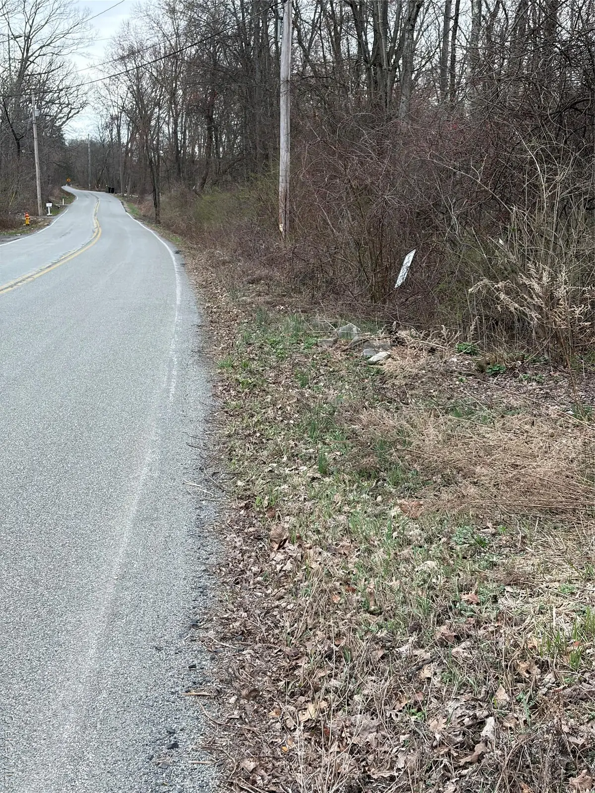 Wells, Newburgh, NY 12550 - #1