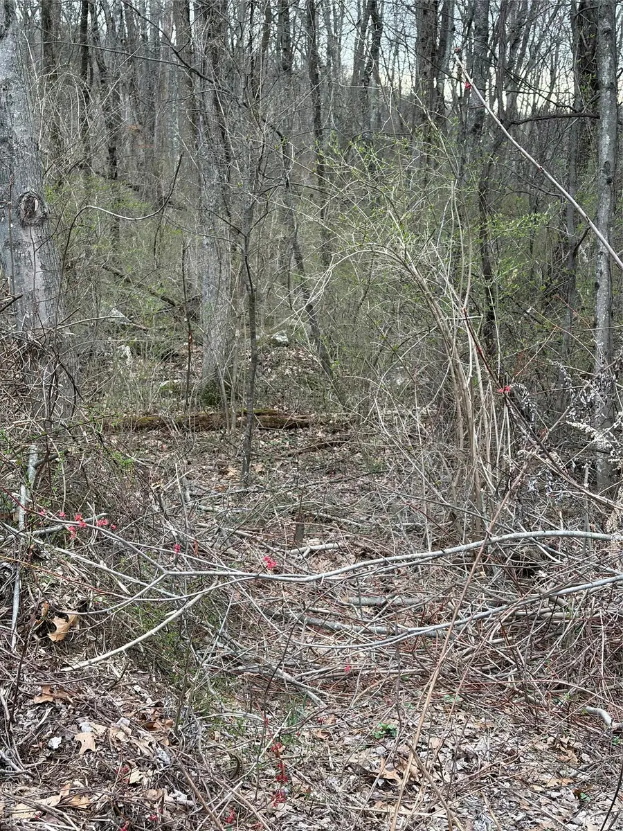 Wells, Newburgh, NY 12550 - #2