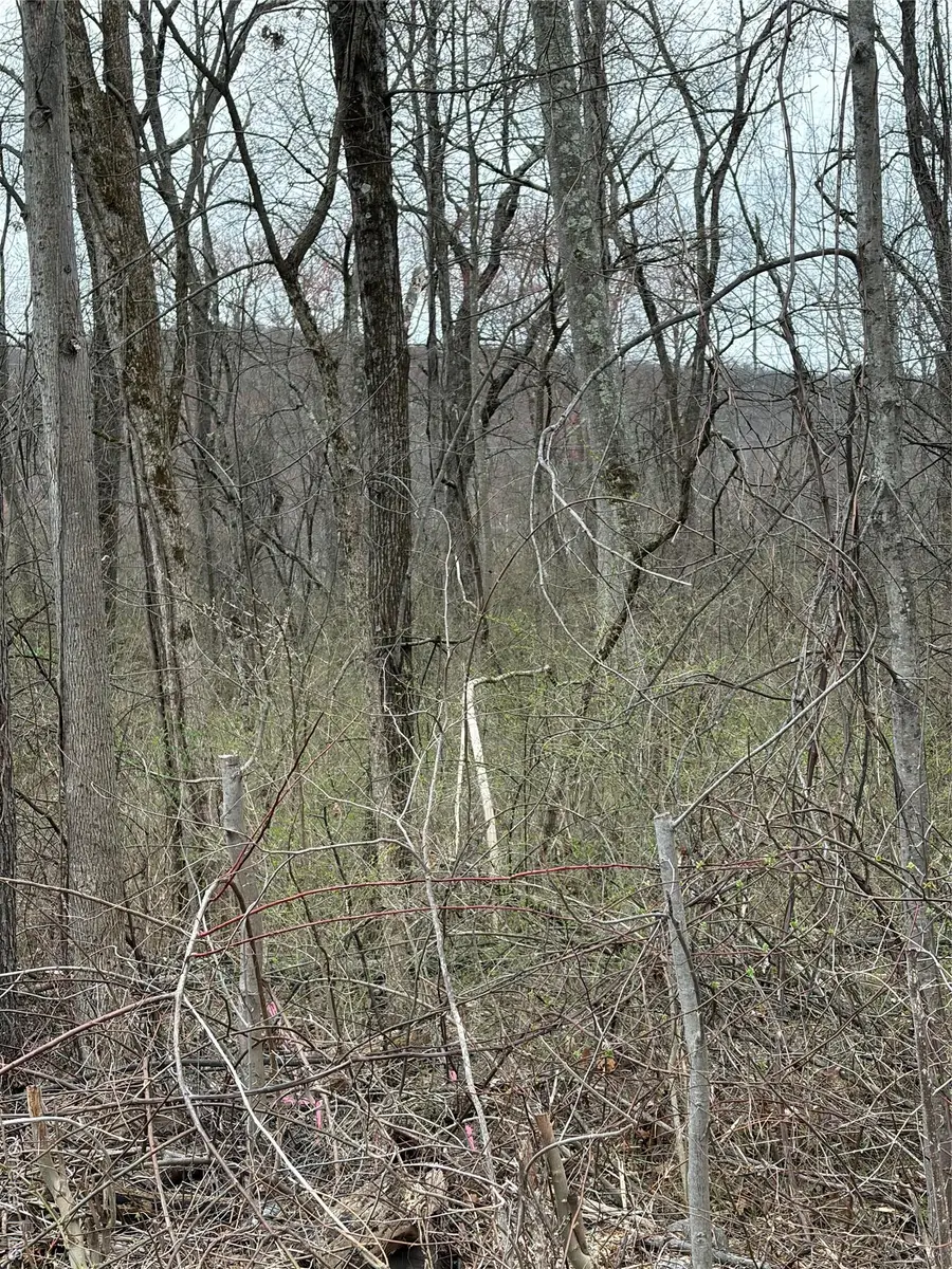 Wells, Newburgh, NY 12550 - #3