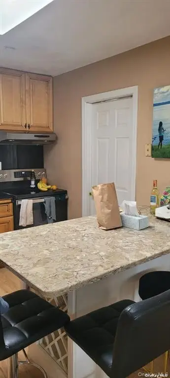 19 Bridle Path, Farmingville, NY 11738 - #3