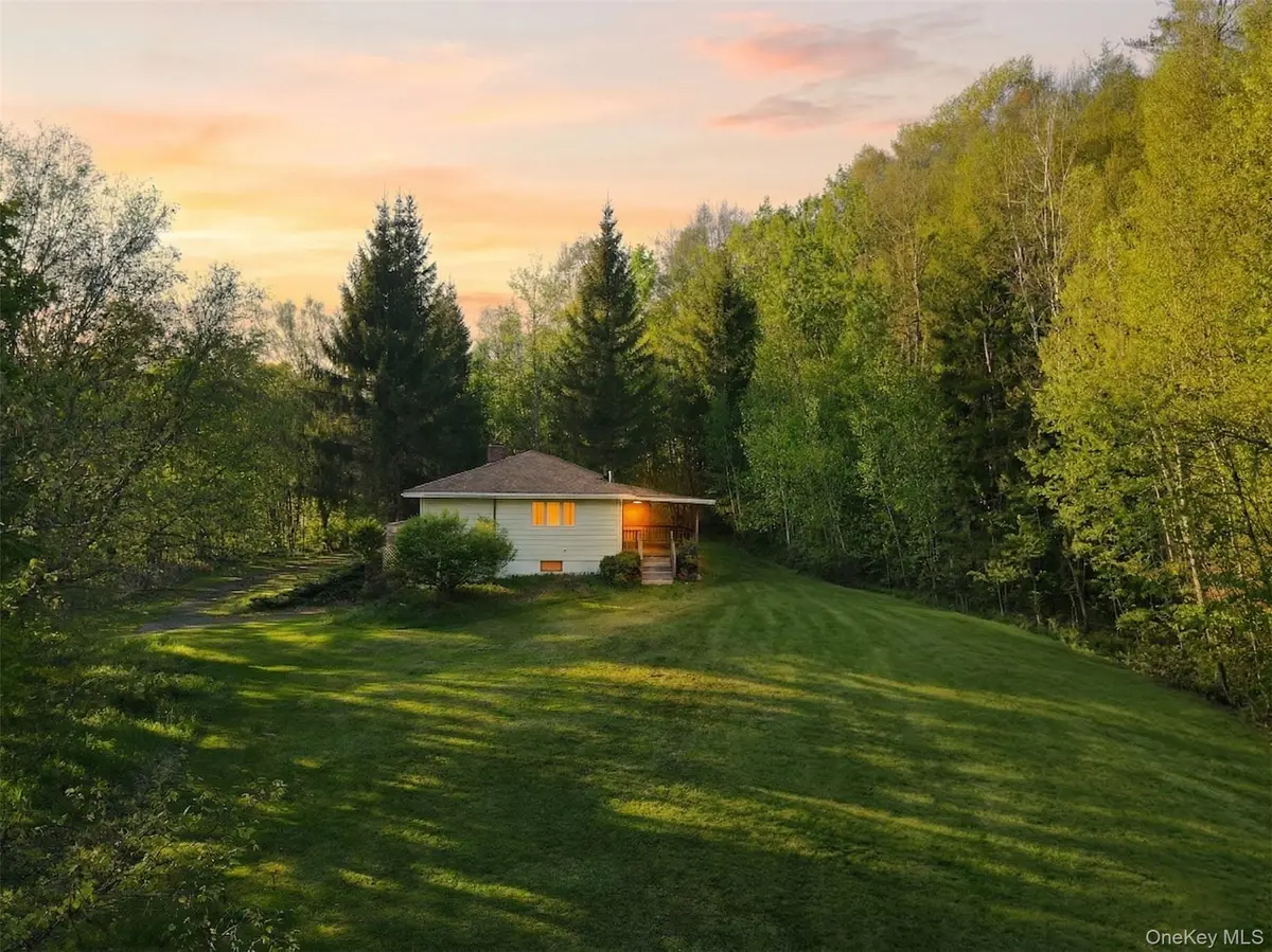 2220 Old Route 17, Roscoe, NY 12776 - #1