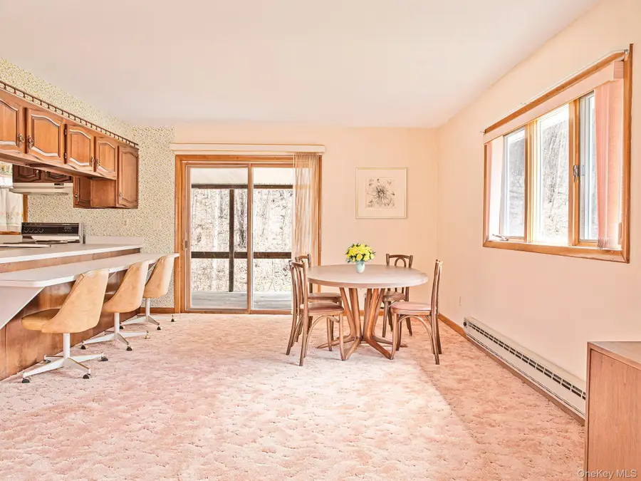 2220 Old Route 17, Roscoe, NY 12776 - #3