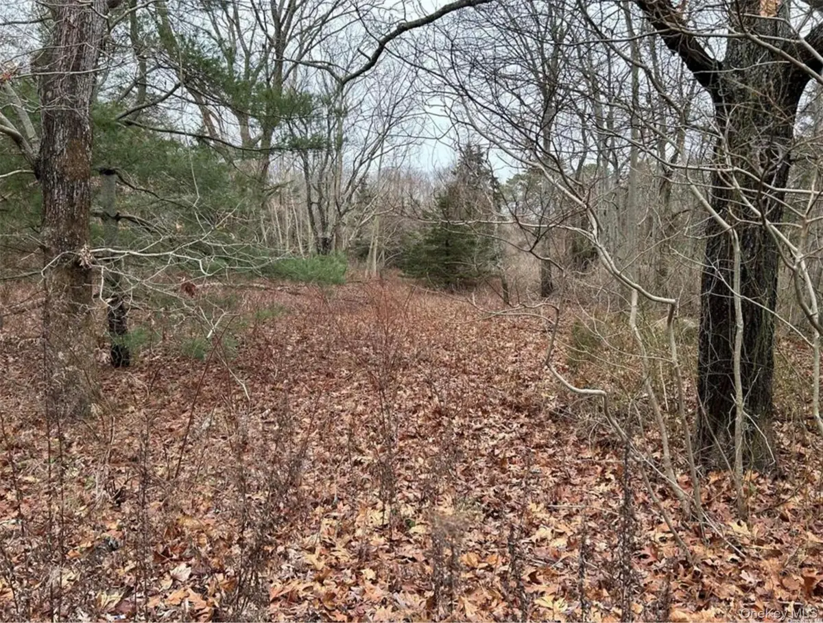 3678 Montauk Highway, Sagaponack, NY 11962 - #1