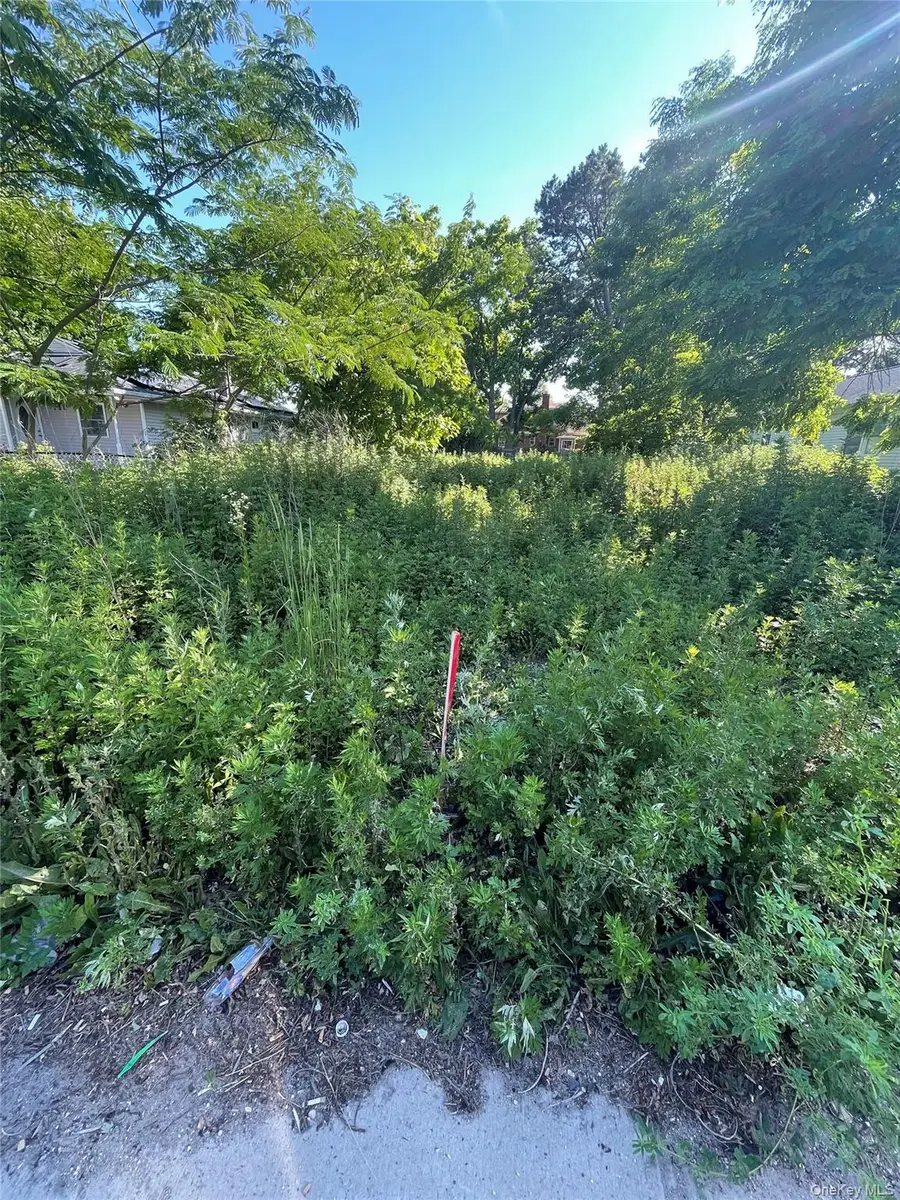 Crooked Hill Road, Brentwood, NY 11717 - #3