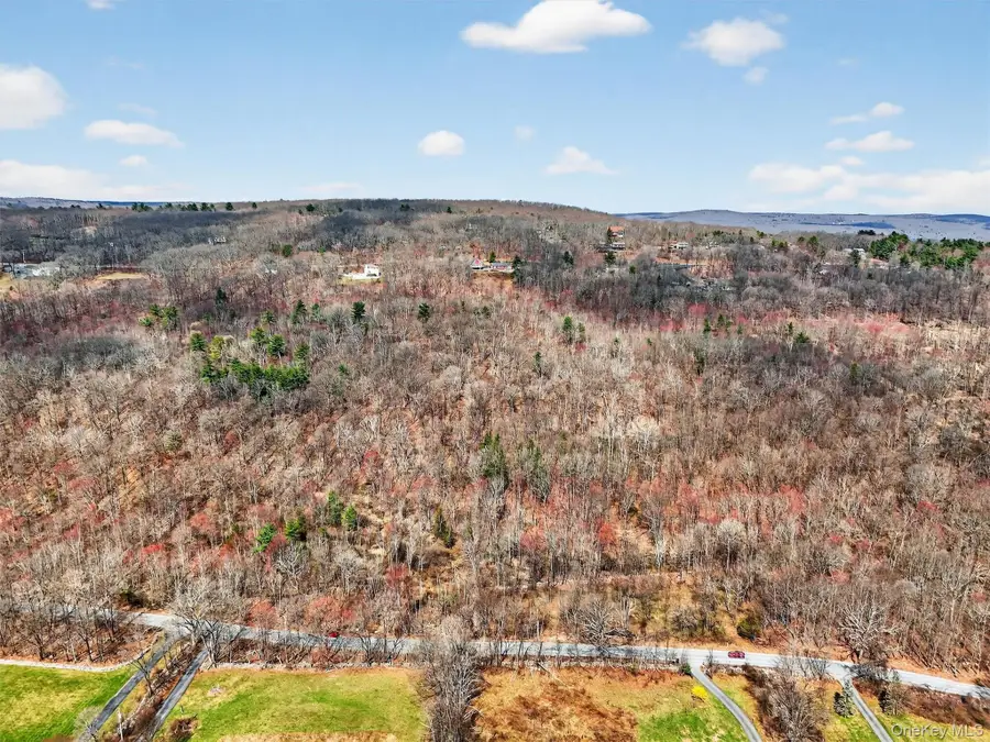 Horton Road, Bloomingburg, NY 12721 - #2