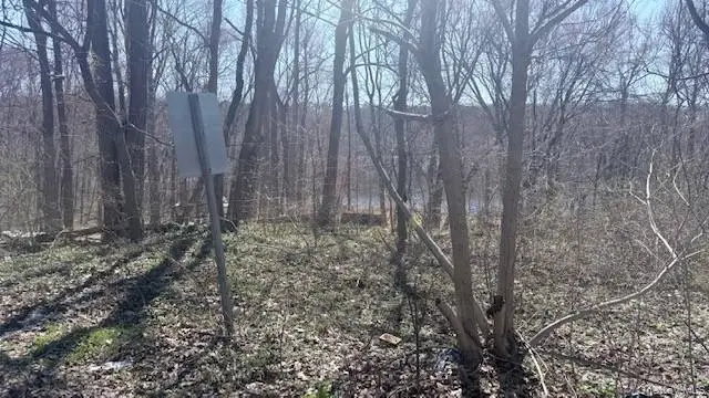 353 E Main Street, Jefferson Valley, NY 10535 - #3