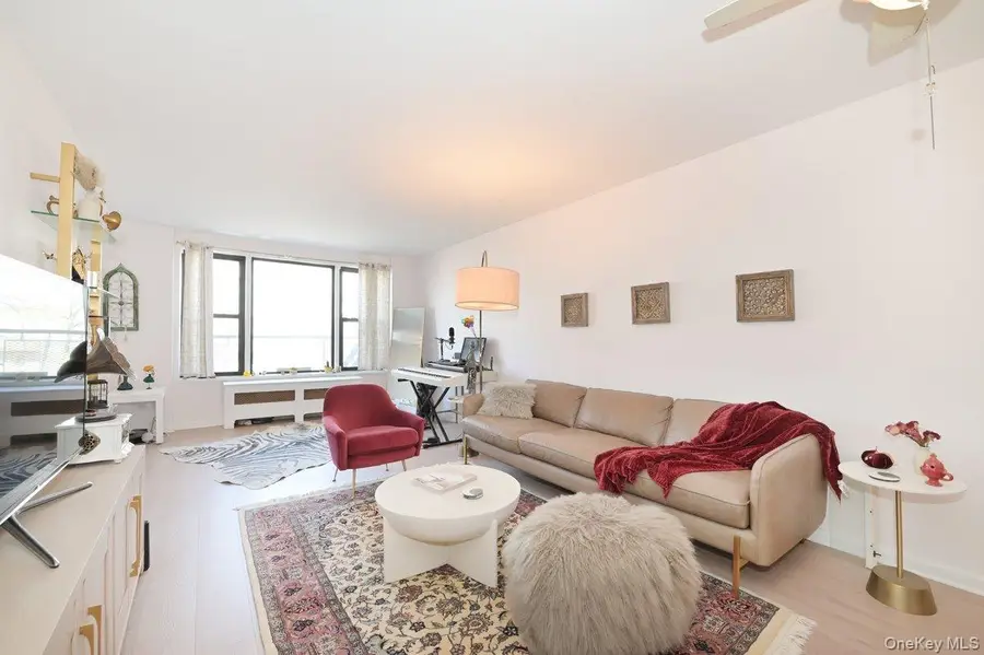 6 Birchwood Court #3A, Mineola, NY 11501 - #2