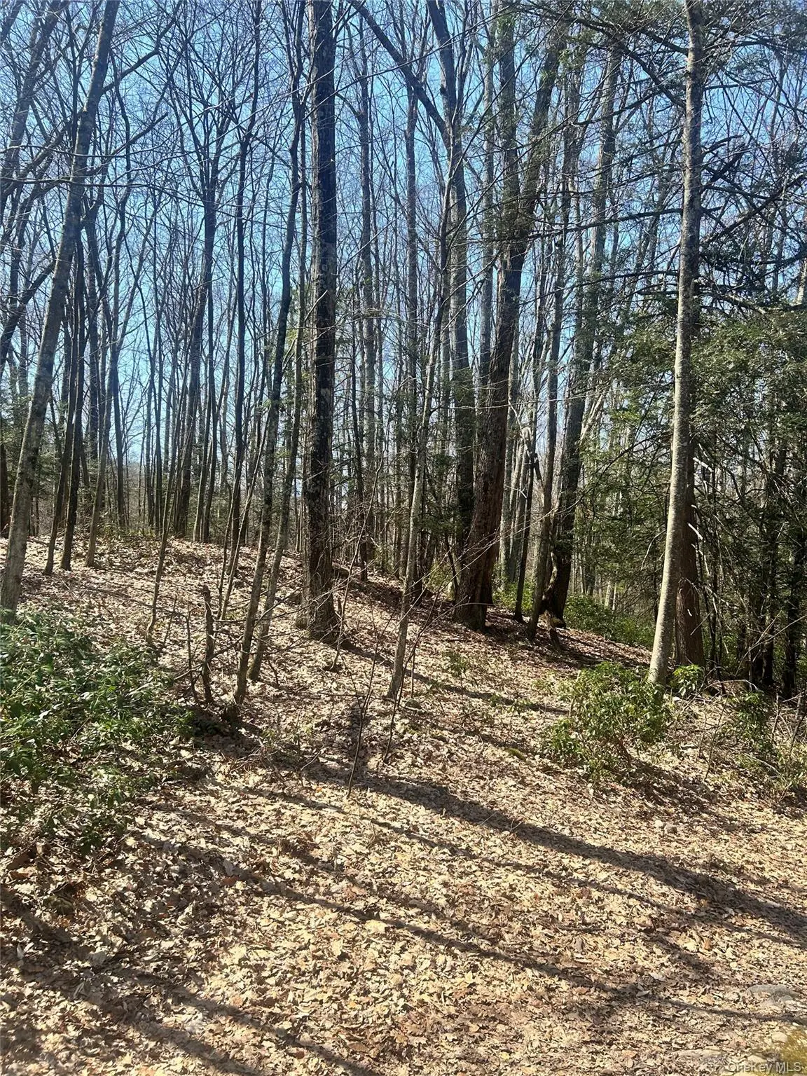 TBD Sidney Street, Kerhonkson, NY 12446 - #1