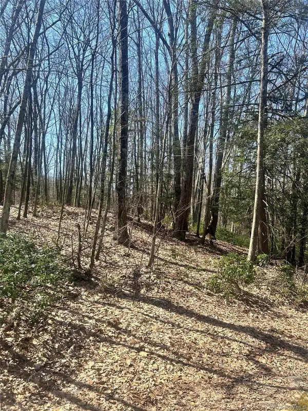 TBD Sidney Street, Kerhonkson, NY 12446