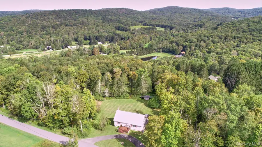 10 W Simmon, Fremont, NY 12736 - #3