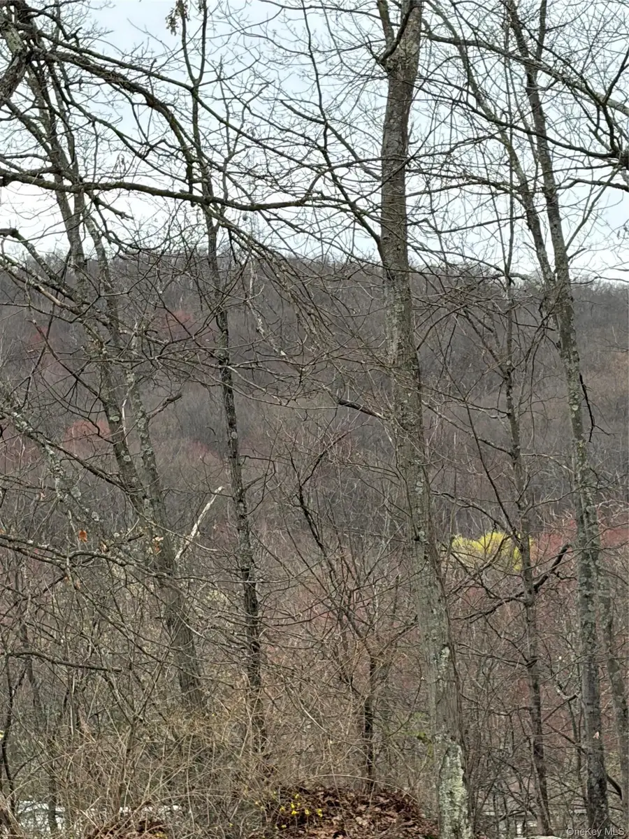 Fox Mountain, Livingston Manor, NY 12758 - #2