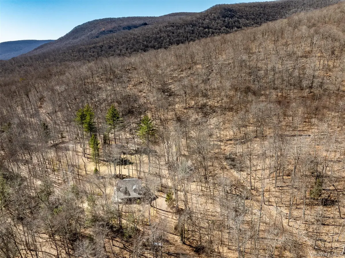 2595 Rt-214, Hunter, NY 12442 - #1