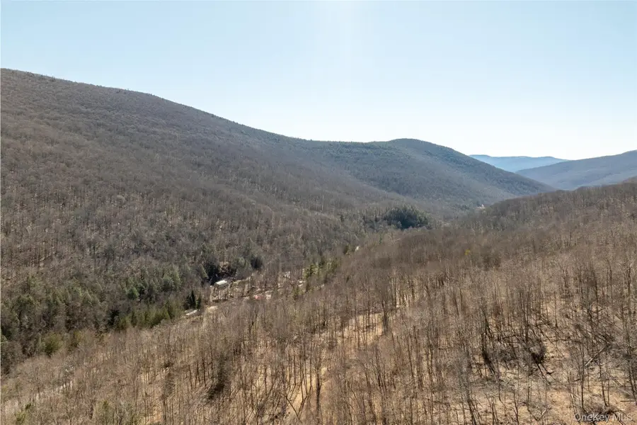 2595 Rt-214, Hunter, NY 12442 - #2