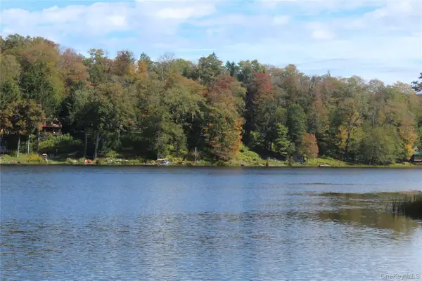 Trout Brook Road, Roscoe, NY 12736