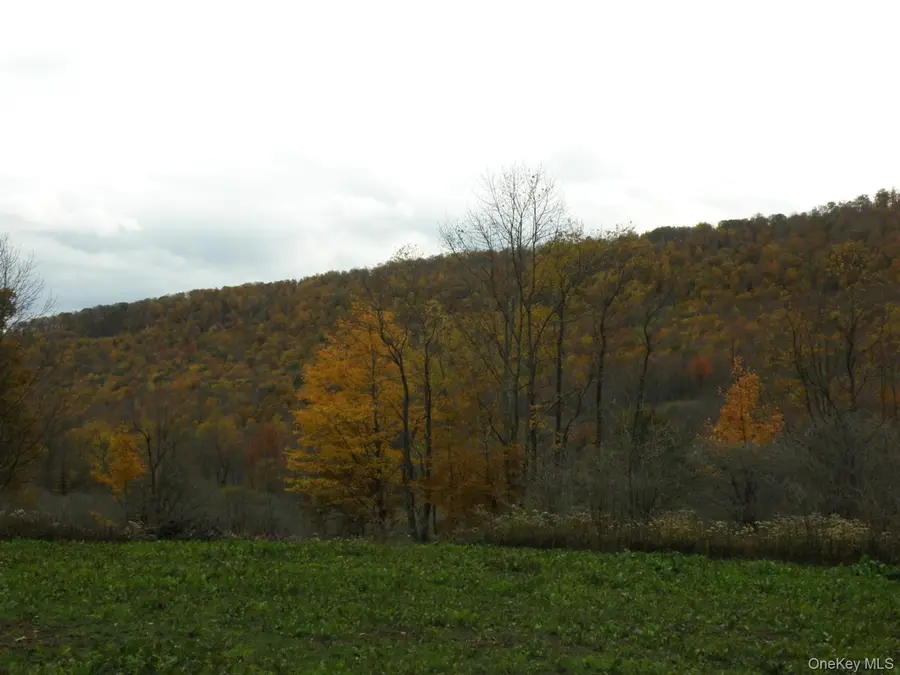 Gregory Hollow Road, Hamden, NY 13782 - #3