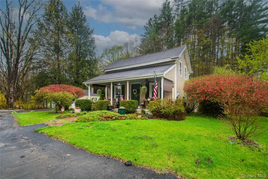 62 Thornton Road, Phillipsport, NY 12769 - #2