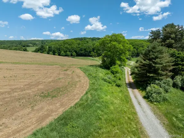 1533-1539 Route 83, Millerton, NY 12567