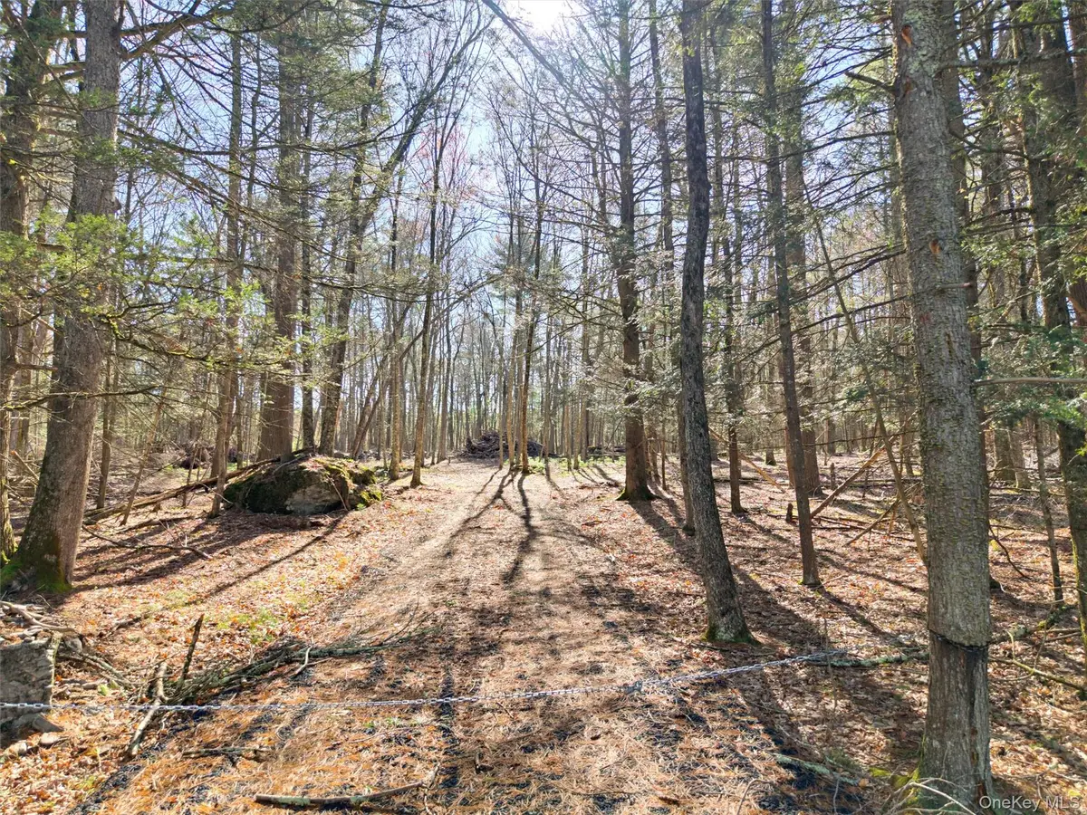 Crawford Road, Highland, NY 12528 - #1